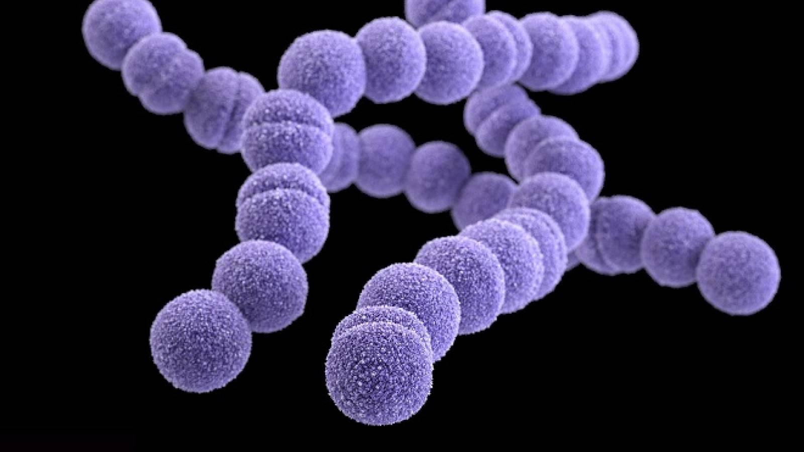 Bệnh do vi khuẩn Mycobacterium