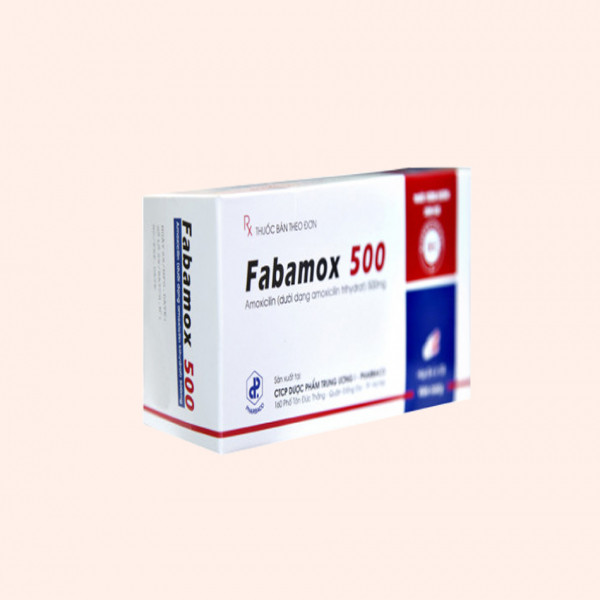 Fabamox 1G Pharbaco Z1 (H100V)
