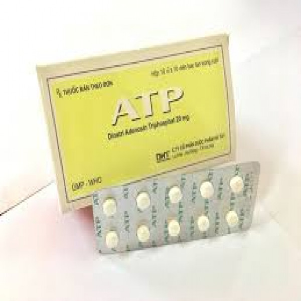 Atp Hà Tây (H100V)
