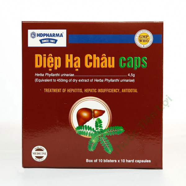 Diệp Hạ Châu _Hải Dương (H100V)