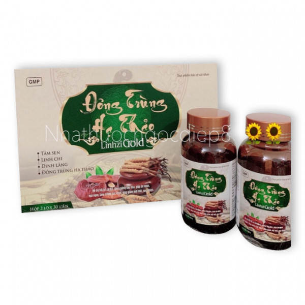 Đông Trùng Hạ Thảo Xám Linhzhi Lysin _Tnx (H2L30V)