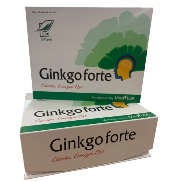 Ginkgo Fort Hộp Cứng(H100V)