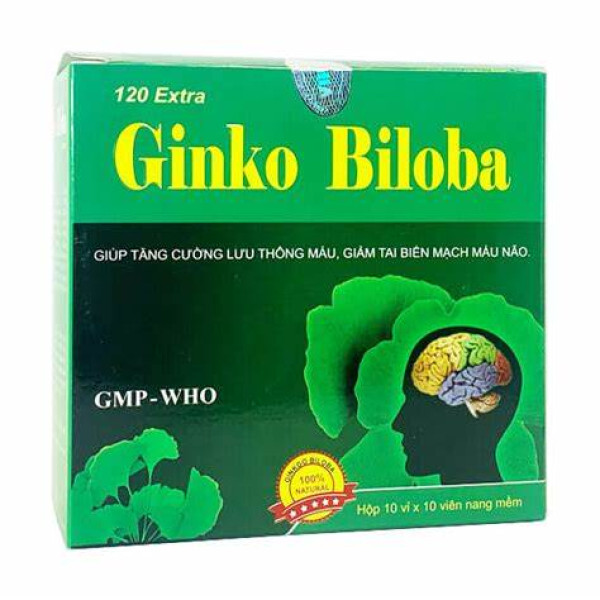 Ginkgo Biloba 120Mg _Vinapha (H100V) Xanh Đen, K72H