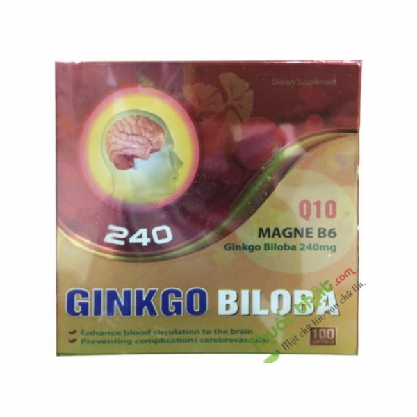 Ginkgo Biloba 240 Trường Thọ (H100V)