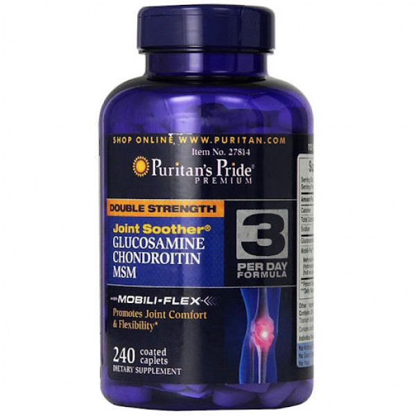 Glucosamin Chondroitin Puritan's Pride Msm (L240V)