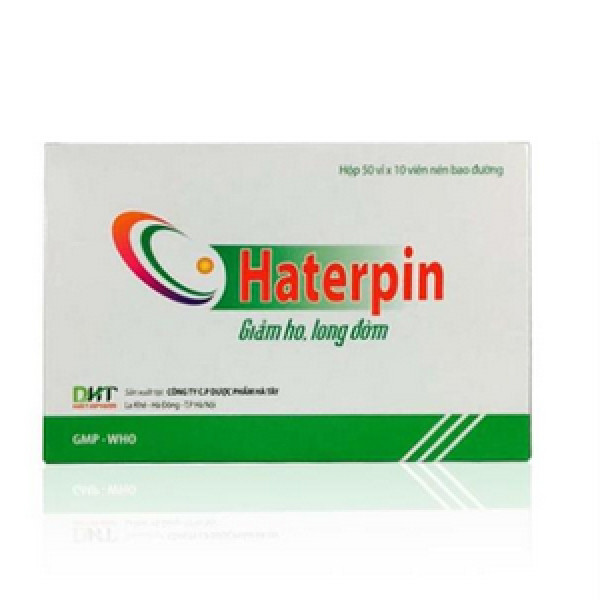 Haterpin Hà Tây 100 Viên Bao Đường (H500V)