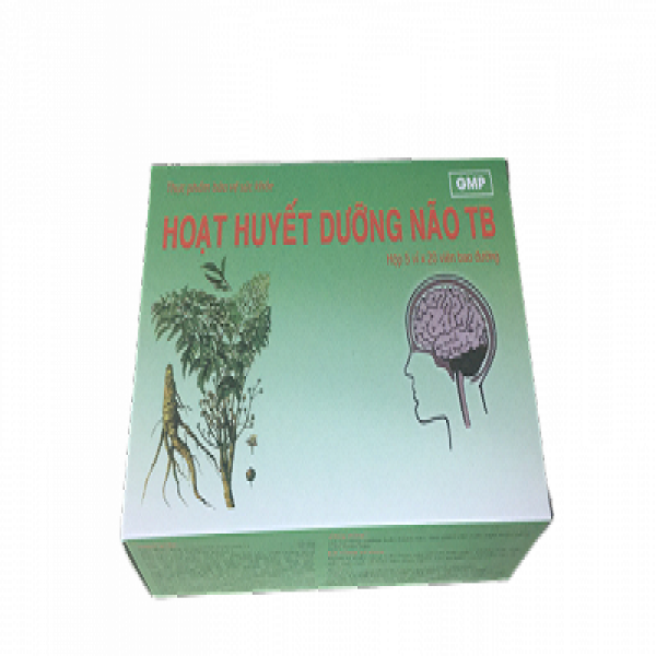 Hoạt Huyết Dưỡng Não Bao Đường Thái Bình (H100V)