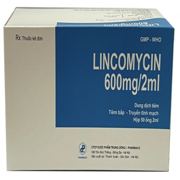 Lincomycin 600Mg2Ml Tiêm _Tw1 (Hộp 50 Lọ)