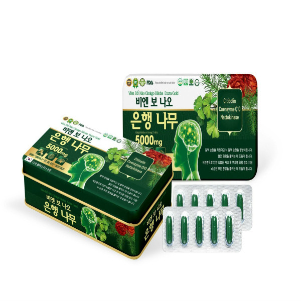 Ginkgo Biloba 5000Mg Chữ Hàn Tdh _Hộp Sắt, Xanh (H60V) K60H