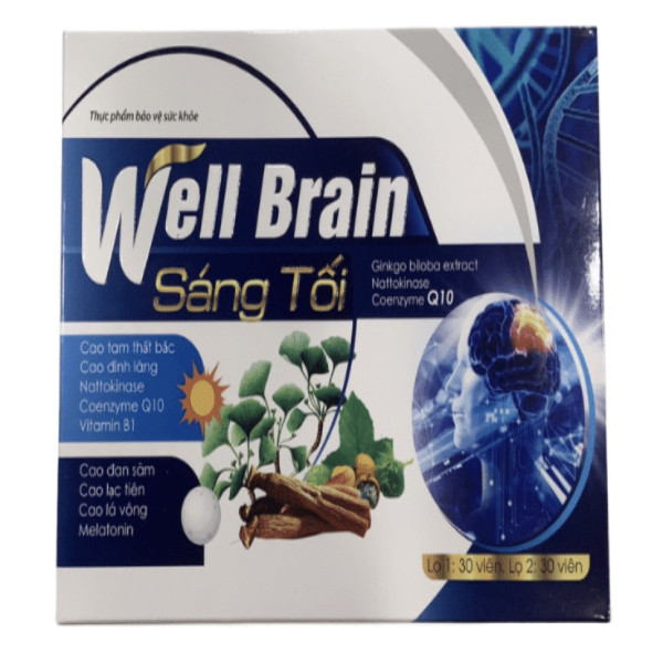 Well Brain Sáng Tối _Gỗ, Hải Linh (H2 Lọ30V)