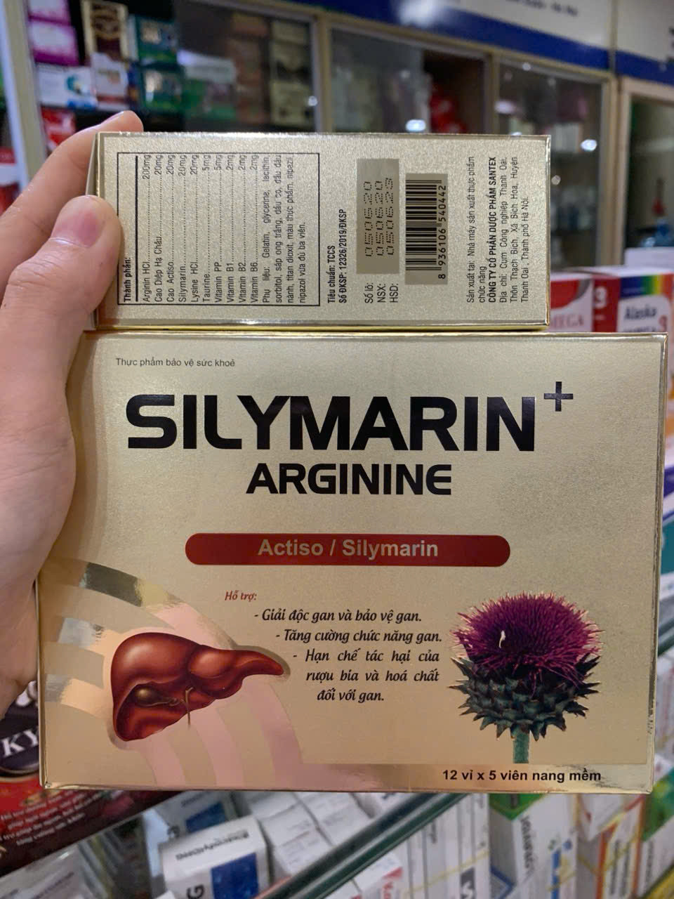 Silymarin + (H60v)