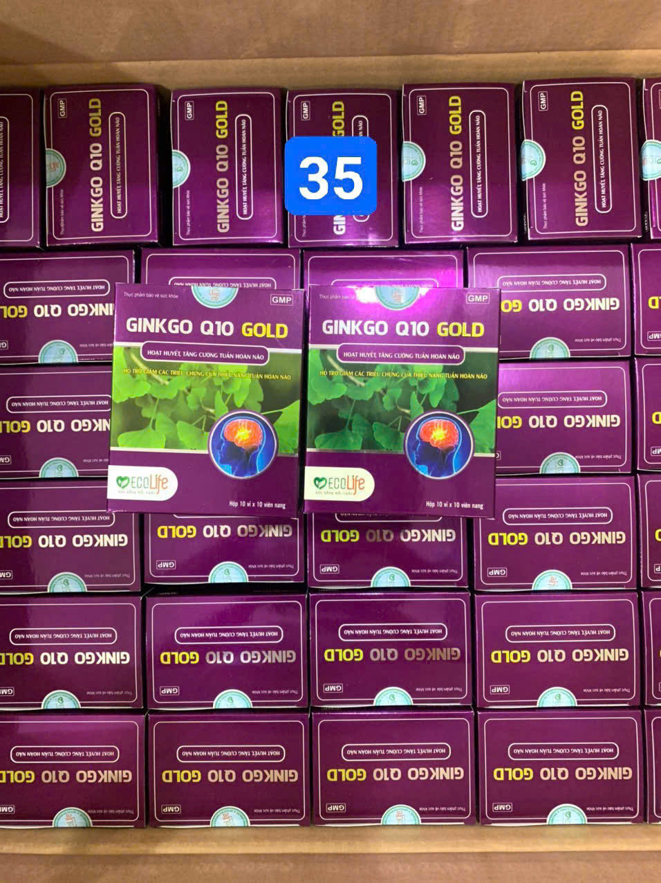Ginkgo Q10 Gold (H/100v) Ecolife