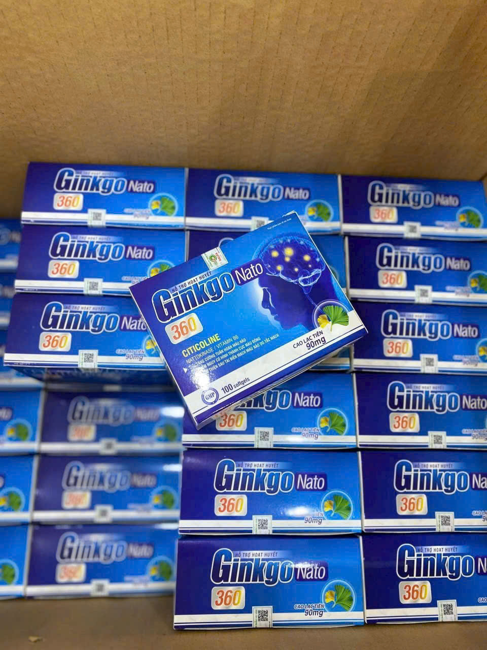 Ginkgo nato 360mg (H/100v)