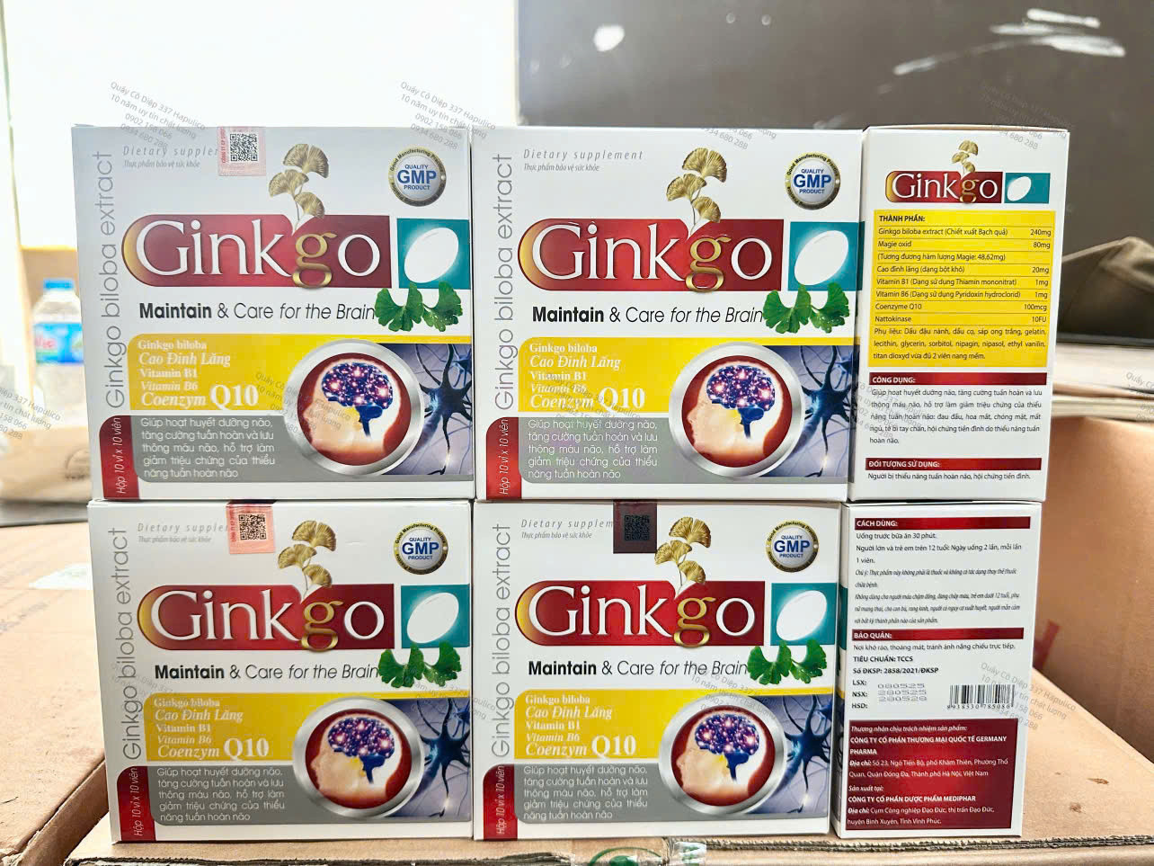 Ginkgo (H100v) đỏ