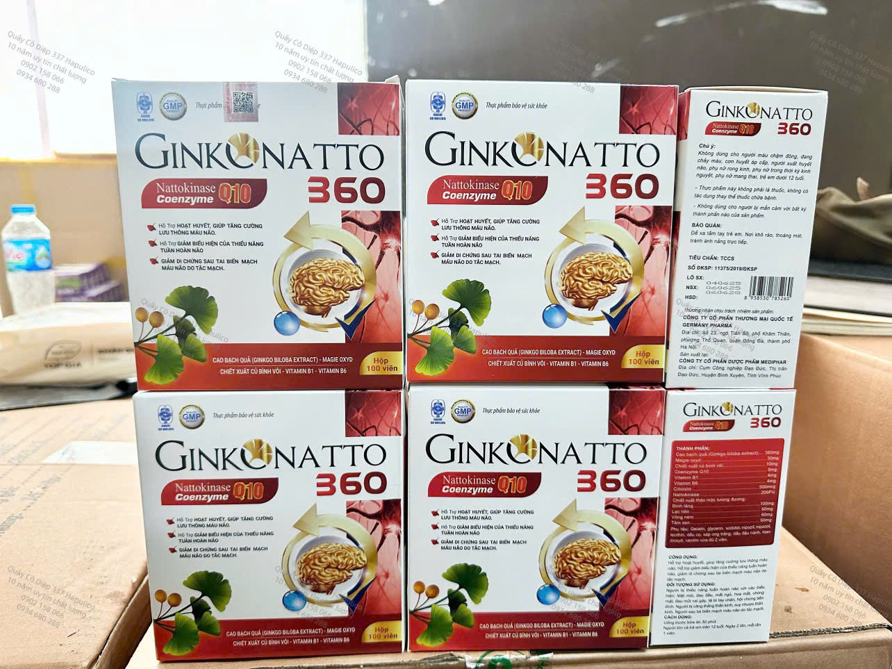 Ginkgo natto 360 (H/100v) Đỏ