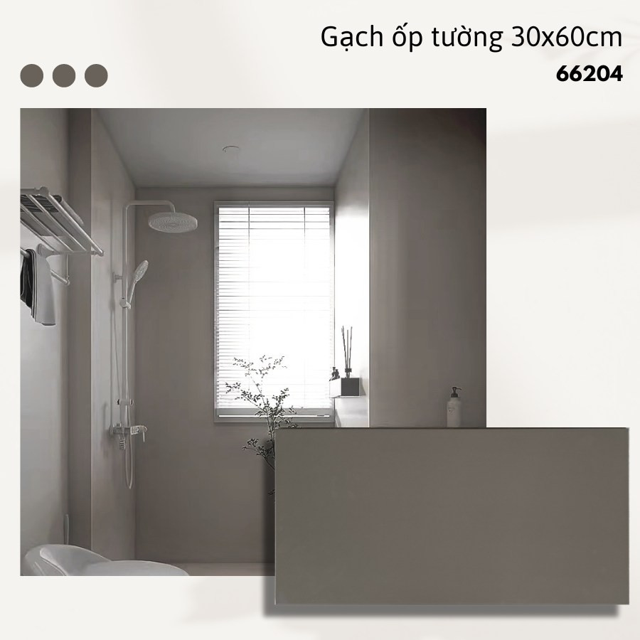 Gạch ốp lát KT 30x60cm V-66204