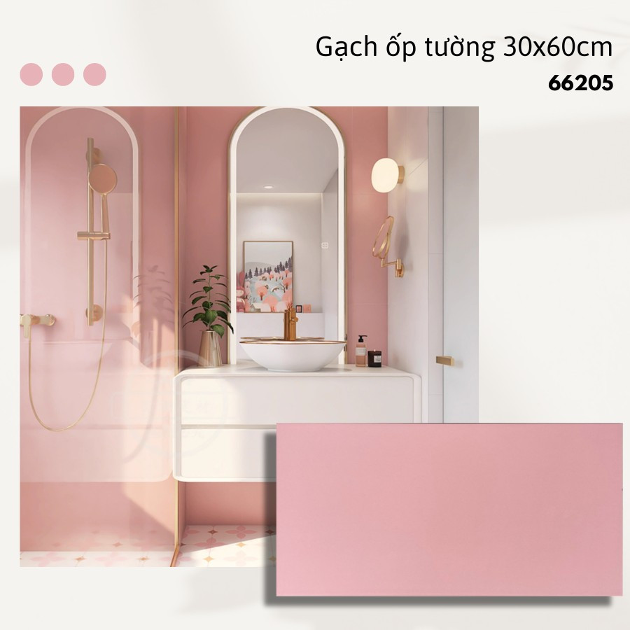 Gạch ốp lát KT 30x60cm V-66205