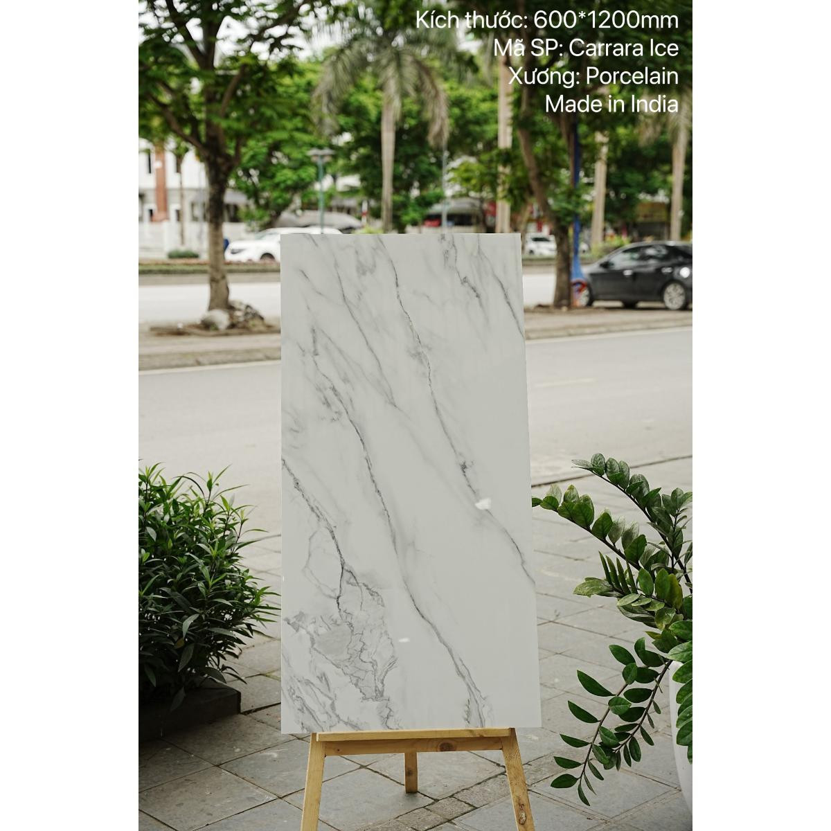 Gạch Ấn Độ nhập khẩu KT 60x120cm V-CARRARA ICE