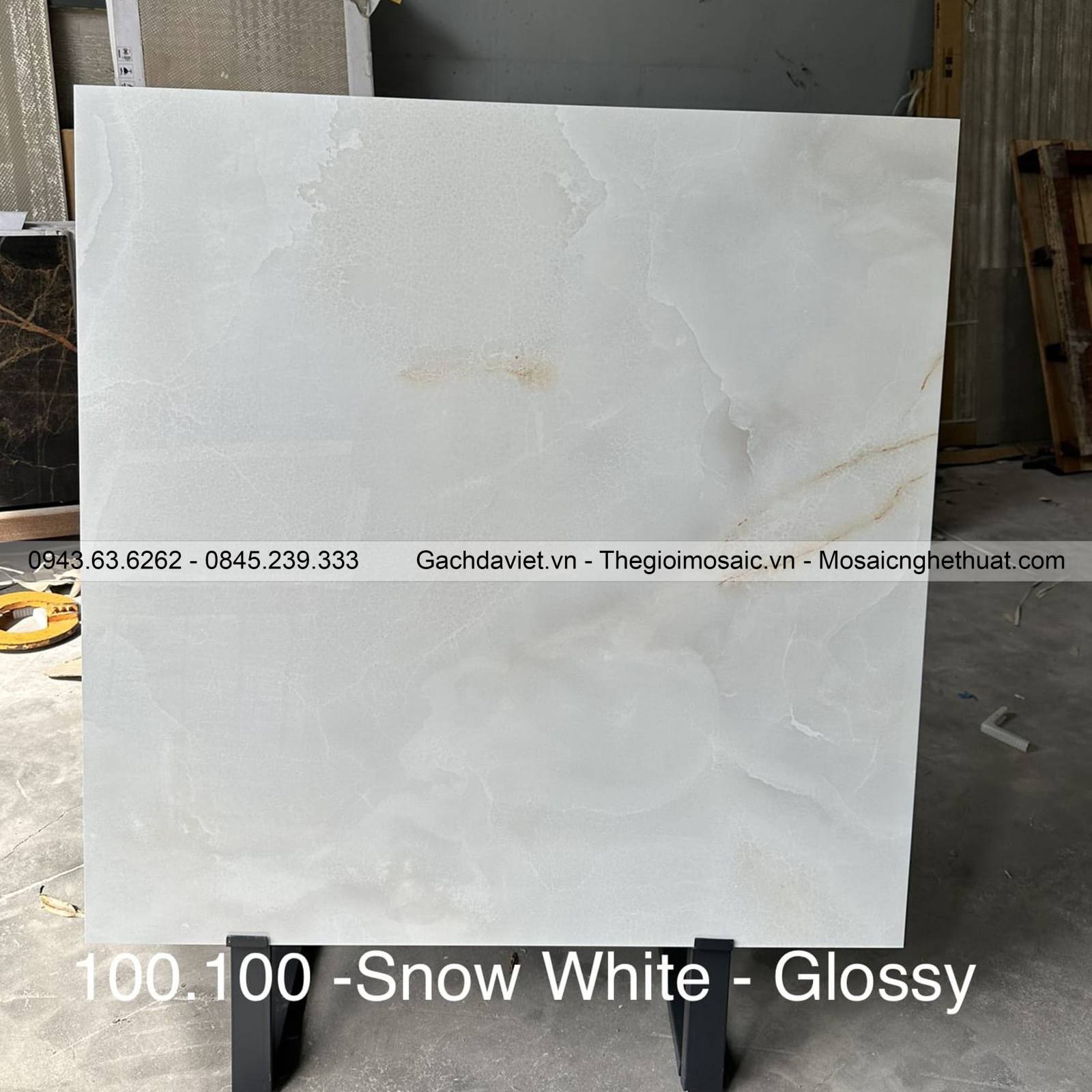 Gạch Ấn Độ nhập khẩu KT 100x100cm V-BA100-Snow White Glossy