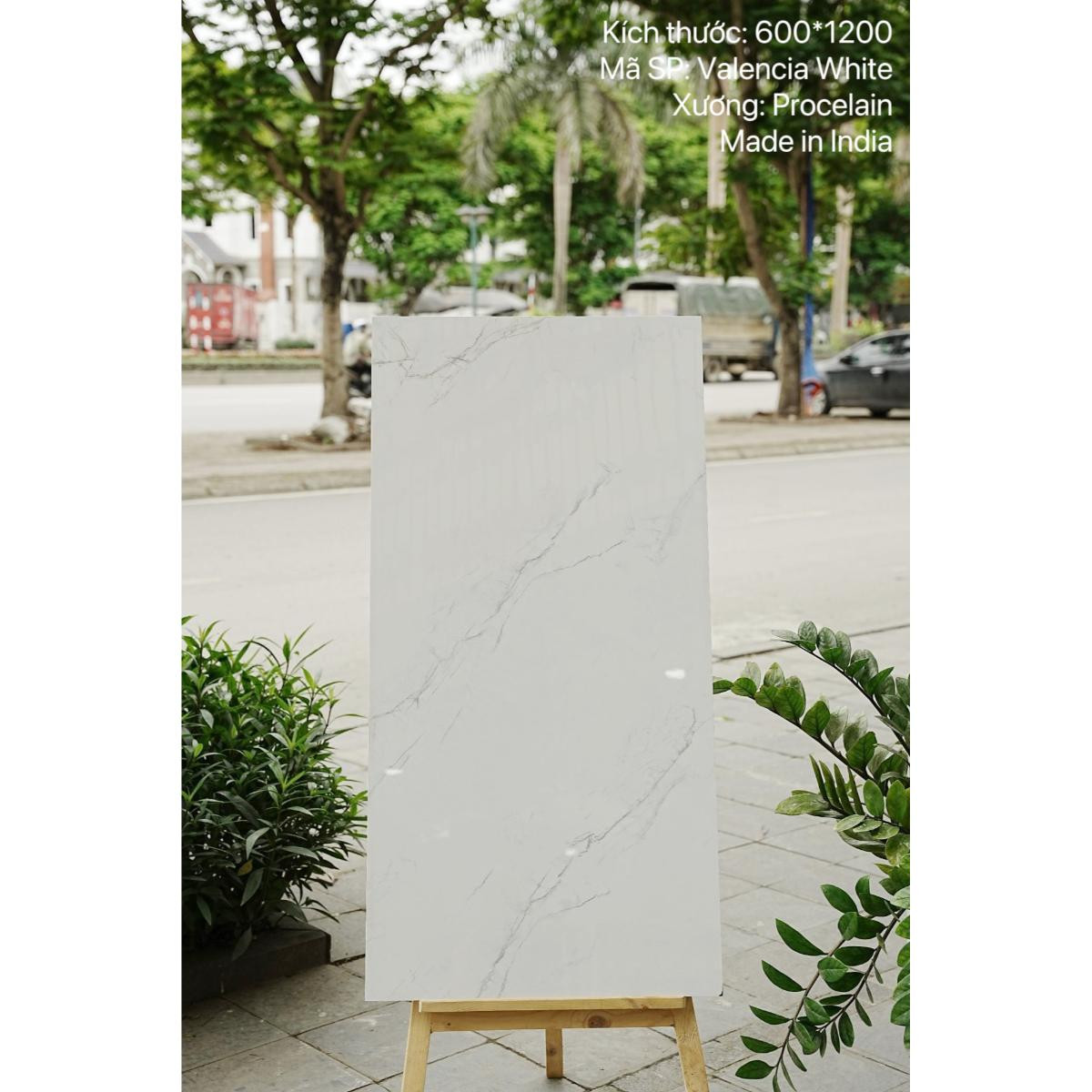 Gạch Ấn Độ nhập khẩu KT 60x120cm V-VALENCA WHITE