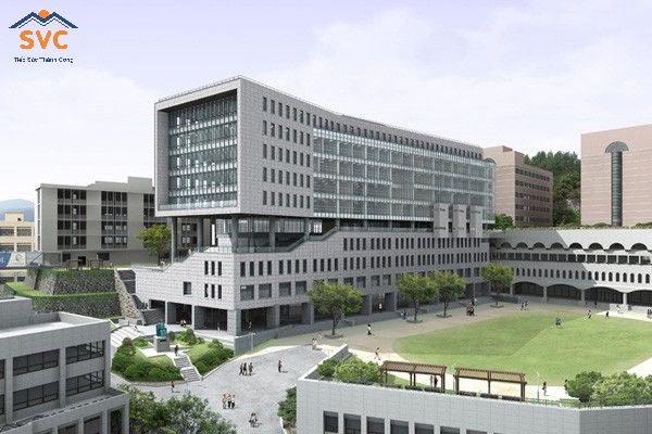 Đại học Daejeon - Trường được cục xuất nhập cảnh Hàn Quốc ưu tiên Visa thẳng