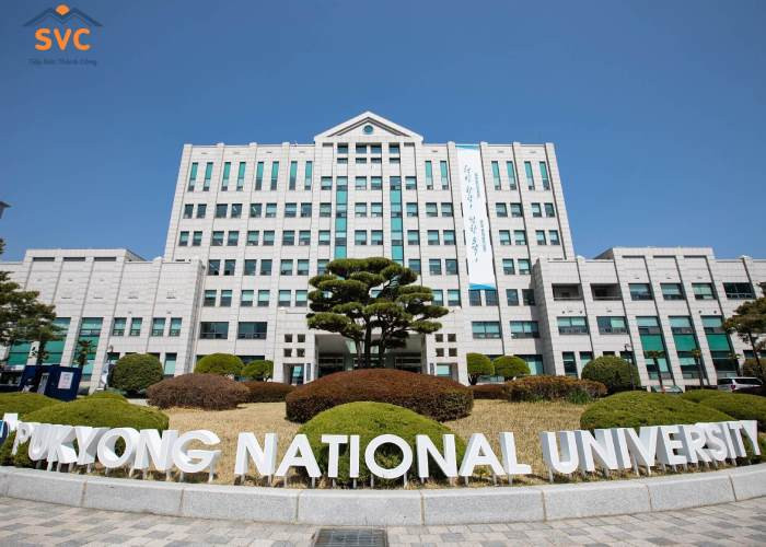 Đại học Quốc gia Pukyong – Lựa chọn lý tưởng tại thành phố cảng Busan