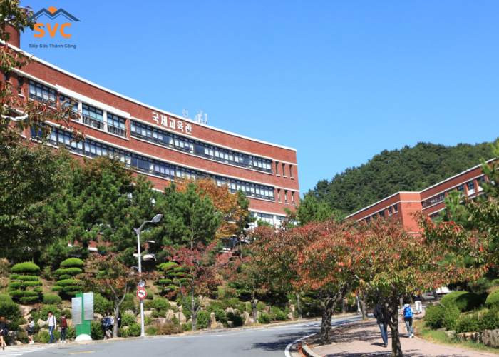 Đại học Silla – Điểm đến lý tưởng cho du học sinh yêu thích thành phố cảng Busan
