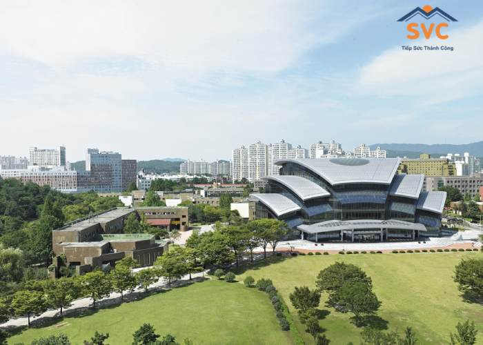 Đại học Sungkyunkwan – Biểu tượng giáo dục hàng đầu tại Hàn Quốc