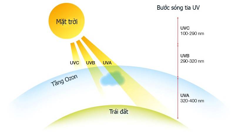 TIA UV—NHỮNG TÁC HẠI CỦA NÓ VỚI CON NGƯỜI VÀ CÁCH PHÒNG CHỐNG